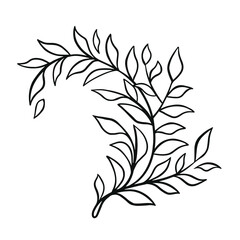 black and white line decorative vegetation branch hand drawn illustration vector