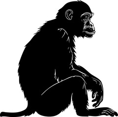 A detailed silhouette illustration of a chimpanzee sitting in profile, showcasing its distinctive features and playful demeanor.
