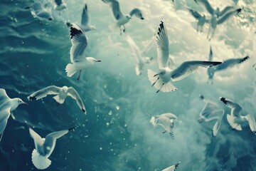 Fototapeta premium freedom peace and seagulls