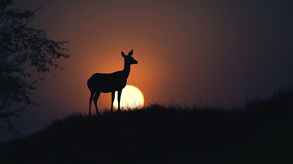 Naklejka premium An evening shot of a giraffe standing against the sunset.