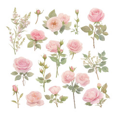 A collection of delicate pink roses and floral elements, showcasing various stages of bloom and greenery.