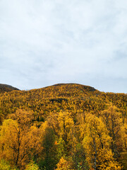 Fall in Norway