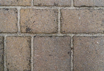 Paving stones arranged in a simple pattern as a texture.