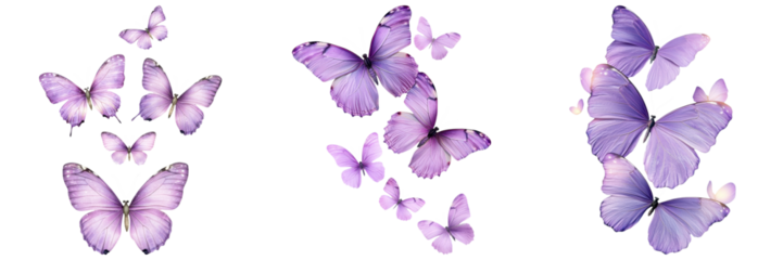 Various purple butterflies arranged in different clusters, showcasing delicate wings and graceful forms.