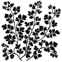 Black silhouette of maidenhair fern branches.