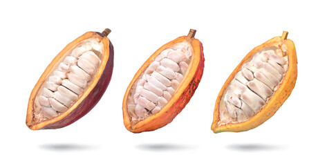 Different varieties of cocoa pods cut in half isolated on white background. Clipping path.