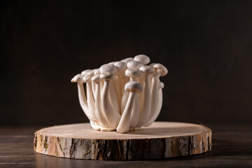 Closeup of a bunch of shimeji mushrooms on wooden background, with selective focus