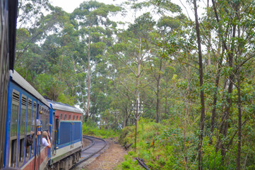 Obraz premium Colonial train route built by the British Empire, offering a journey through history, stunning mountains, waterfalls, and tea estates—Ella Odyssey train journey 2024.12.13 Ella Sri Lanka