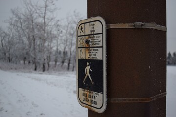A pedestrian crossing sign covered in snow highlights the charm of Calgary's winter streetscape. This image captures the intersection of urban life and the natural beauty of winter.