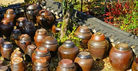 한국 시골 마을의 장독대