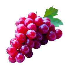 Fototapeta premium Red grapes isolated on white