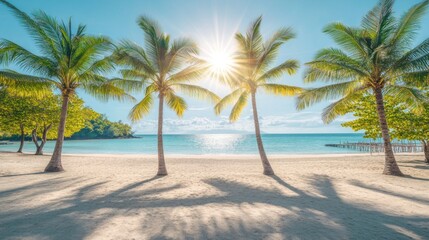 Idyllic tropical beach scene with palm trees, bright sun, and clear turquoise water.