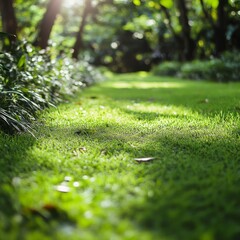Naklejka premium Lush, verdant path in garden.
