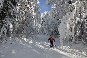 Premières neiges de décembre 2024, randonnée raquette dans le Vercors à Autrans en France