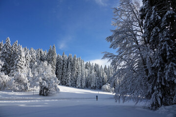Premières neiges de décembre 2024, randonnée raquette dans le Vercors à Autrans en France