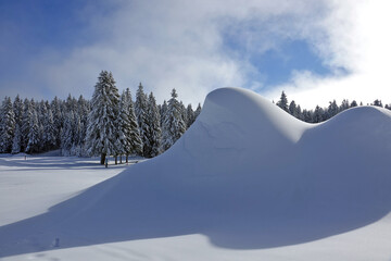 Premières neiges de décembre 2024, randonnée raquette dans le Vercors à Autrans en France
