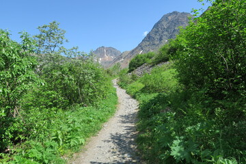 Beautiful summer trails with lingering snow and greenery, Crow Pass, Girdwood, Alaska