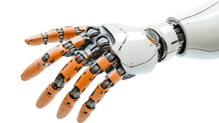 A bionic hand  with articulation isolated on white background