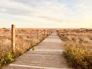 Fototapeta premium Wooden Path Leading to the Beach at Sunset, Capturing the Warm Glow of the Evening.