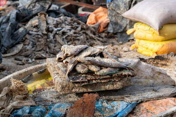 du poissons séché et salé dans le port de pêche traditionnel de la ville de Saint Louis du Sénégal en Afrique