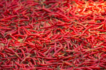 Fototapeta premium Close up of chili peppers