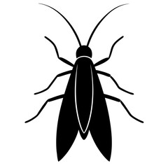 Caddisfly silhouette vector illustration on white background