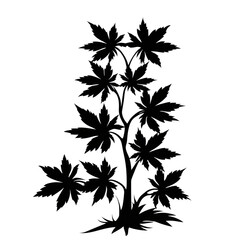 Silhouette of a plant with large leaves.