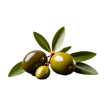 Natural and fresh olive java isolated on a  transparent background