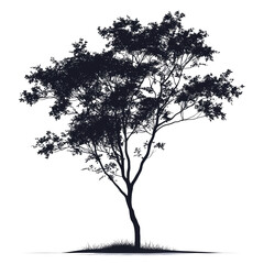 Silhouette of a tree on white background.