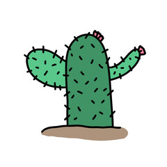 Cactus