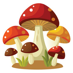 mushrooms on a white background