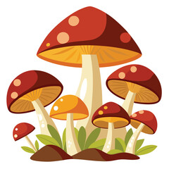 mushrooms on a white background