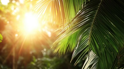 Vibrant sunlight filters through lush tropical foliage, capturing the intricate textures of green jungle leaves basking in the warm glow of the sun.