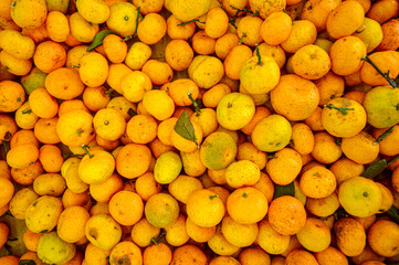 Orange citrus fruits in a fruit shop basket. Focus on fruit, noisy, exposure, similar others