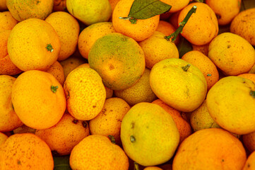 Orange citrus fruits in a fruit shop basket. Focus on fruit, noisy, exposure, similar others