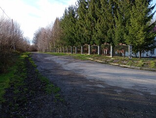 Asphalt street with tall green fir trees behind a metal fence on the side. Beautiful natural landscape.
