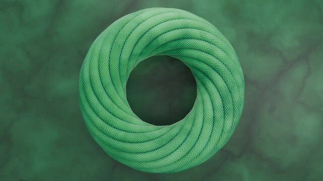 Looping 3d animation of a jade torus woven from a variety of ropes similar to the body of a dragon or snake with scales. The dragon's body is in constant motion. Abstract animation for the year of the