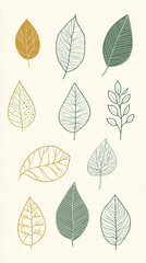 A collection of illustrated leaves in various shapes and colors on a light background.