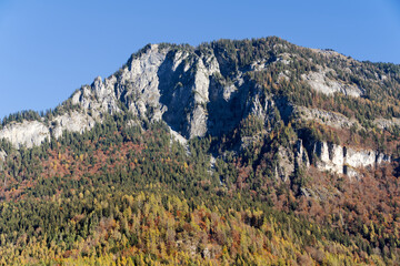 Scenic view of mountain panorama with woodland at Rhine Valley of Chur on a sunny autumn morning. Photo taken November 15th, Rhine Valley of Chur, Switzerland.