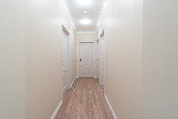 Bright Home Residential Hallway with Modern Decor and Closed Wooden Doors. Interior