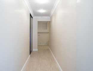 Minimalist Bright Home Hallway Interior with Clean Walls and Wooden Flooring