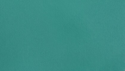 Polished jet black leather with soft reflective highlights