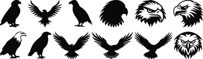 Eagle silhouette set vector design big pack of bird illustration and icon