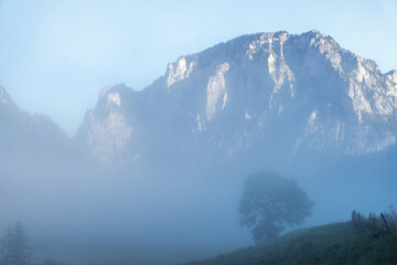 Misty Morning in the Austrian Alps