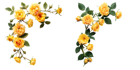 Yellow rose flowers in a corner arrangement top view. Generative AI.