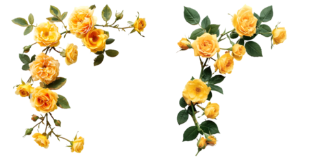 Yellow rose flowers in a corner arrangement top view. Generative AI.