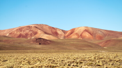 Altiplano in Bolivia, South America