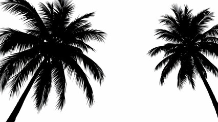 Coconut tree silhouette border