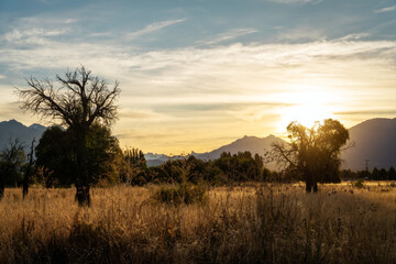 Fototapeta premium Golden Fields during Sunset in Patagonia Argentina