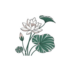 Hand drawn lotus flower and leaves  